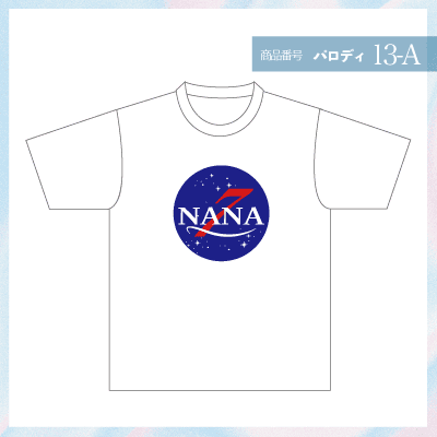NASA13-A