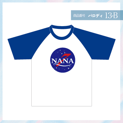 NASA13-B