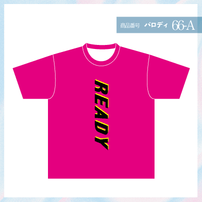 ノルディ66-A