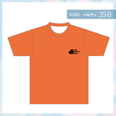 ノースフェイス35-B