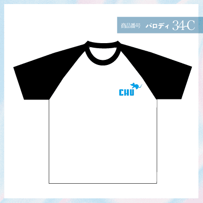 ポケモン34-C