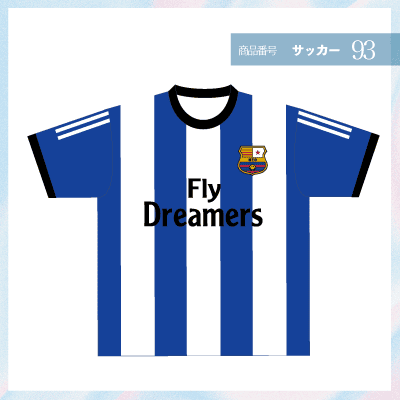 青サッカー93