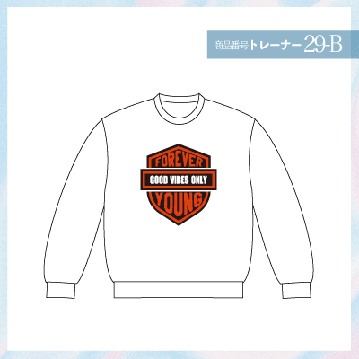 ハーレー29-B