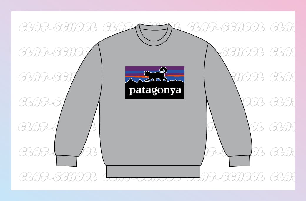 パタゴニア(Patagonia)風