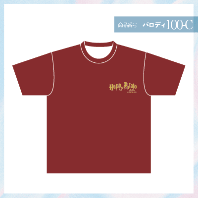 ハリーポッター100-C